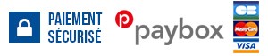 paiement en ligne sécurisé